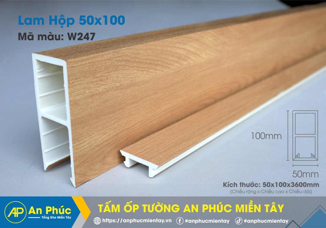 Thanh hộp 50x100 - W247