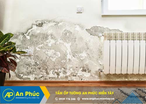 Khi nào cần phải sử dụng tấm ốp tường chống thấm?